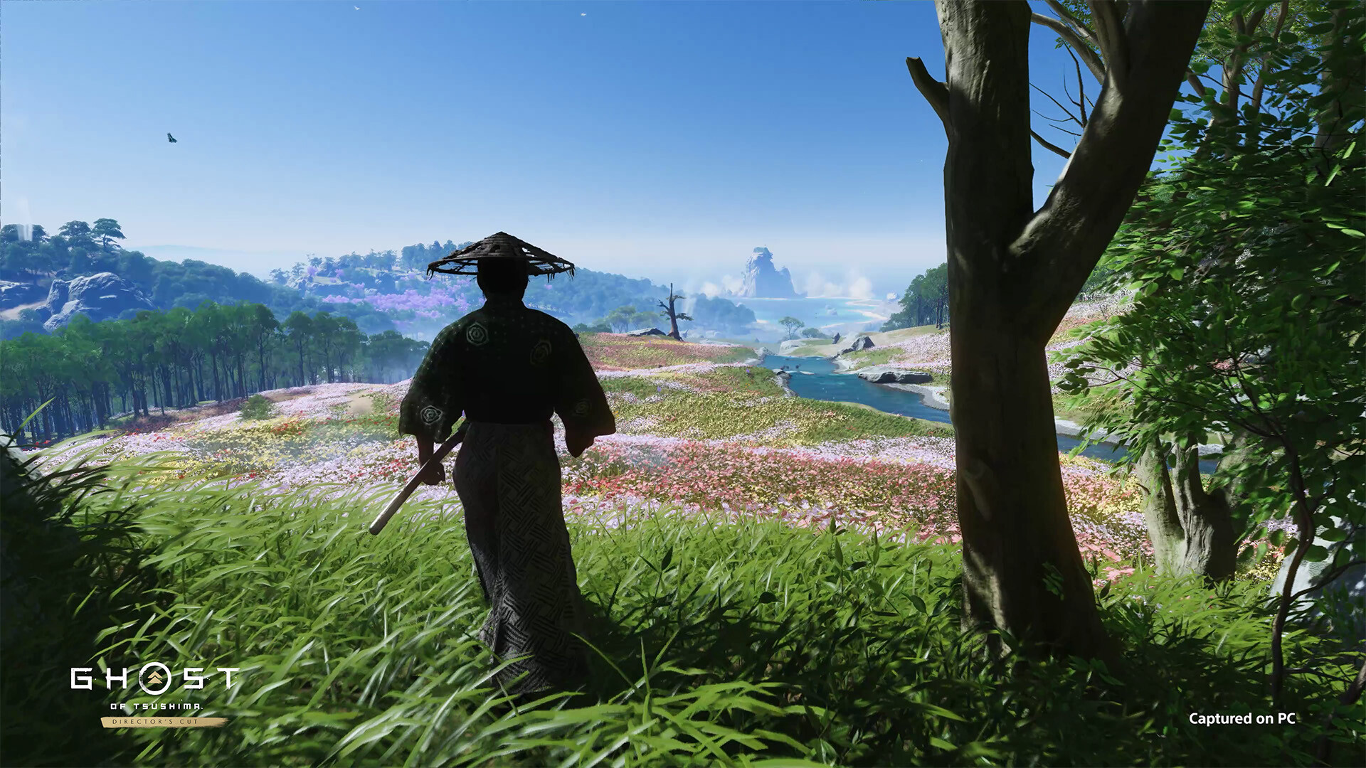 Ghost of Tsushima DIRECTOR'S CUT (ROW)