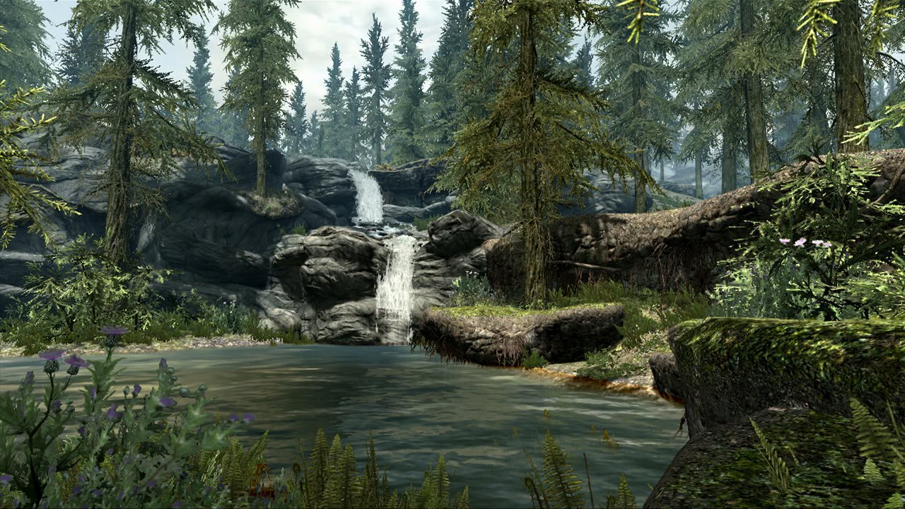 The elder scrolls v skyrim steam на русском фото 40