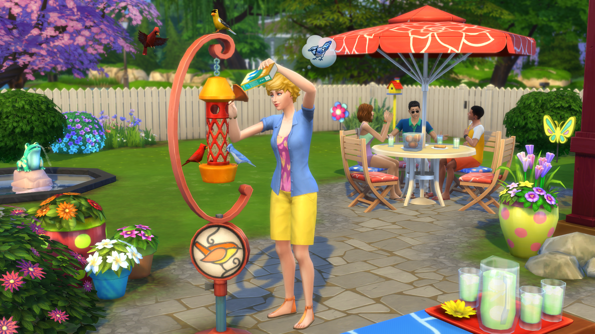 Игры на заднем дворе. SIMS 4 Backyard. Задний двор симс 4. Backyard stuff SIMS 4. «The SIMS 4: на заднем дворе каталог».