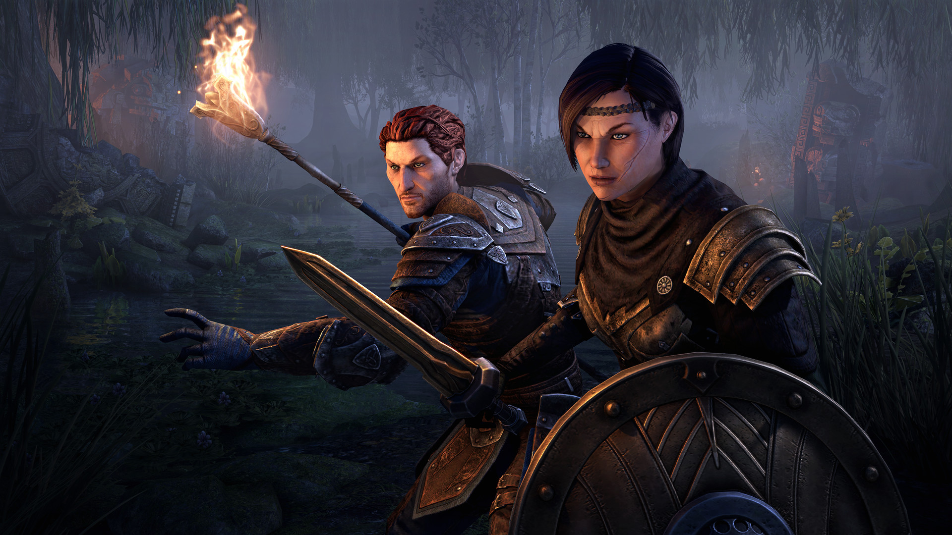 The elder of scrolls online steam фото 42